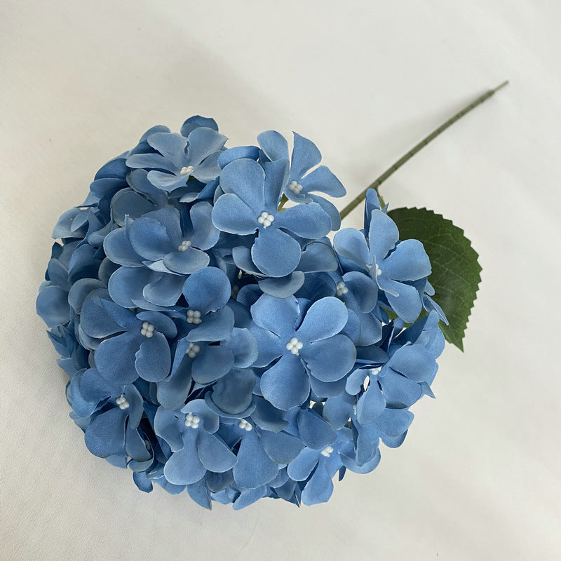 H0001 Hydrangea