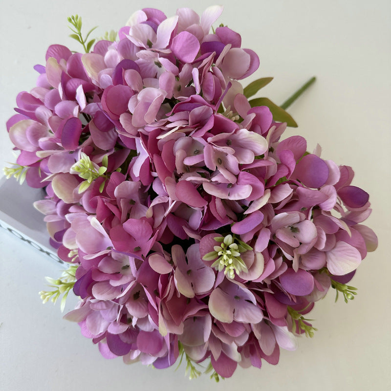 H0004 Hydrangea