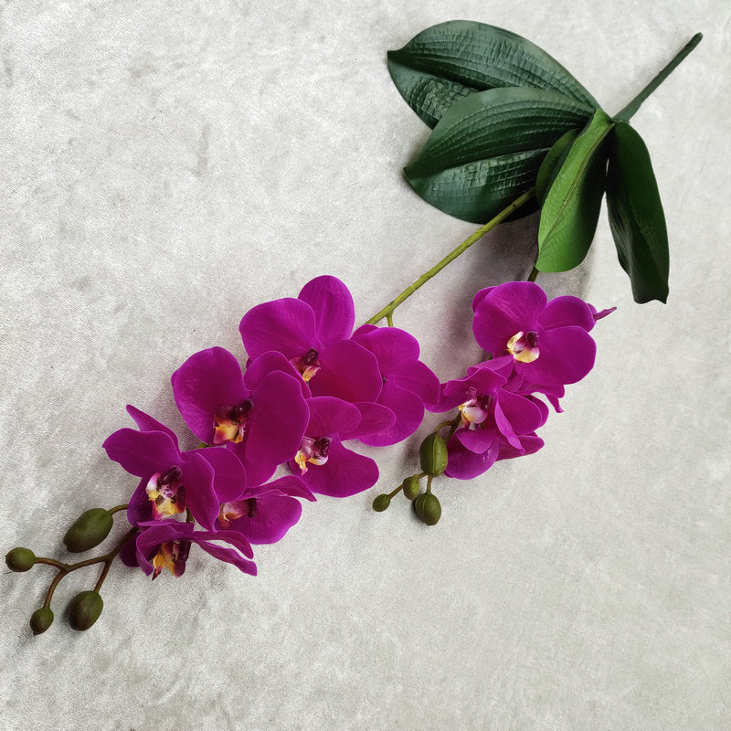 O0016 3D printed double-forked twelve-headed Phalaenopsis with leaves