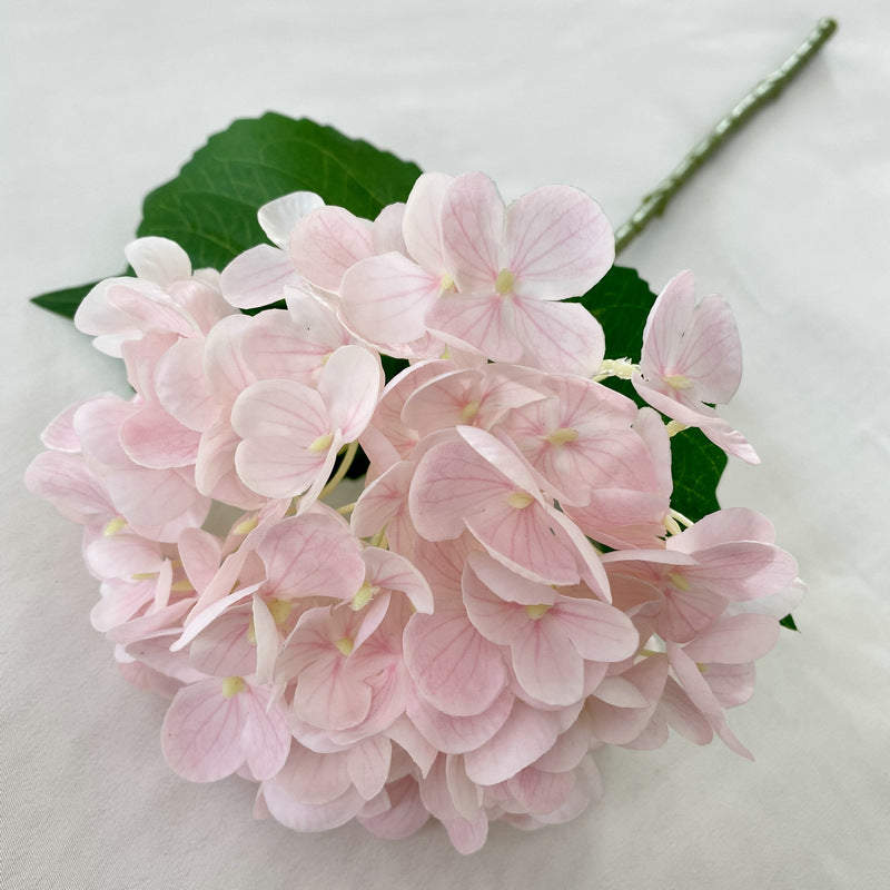 H0021 Hydrangea