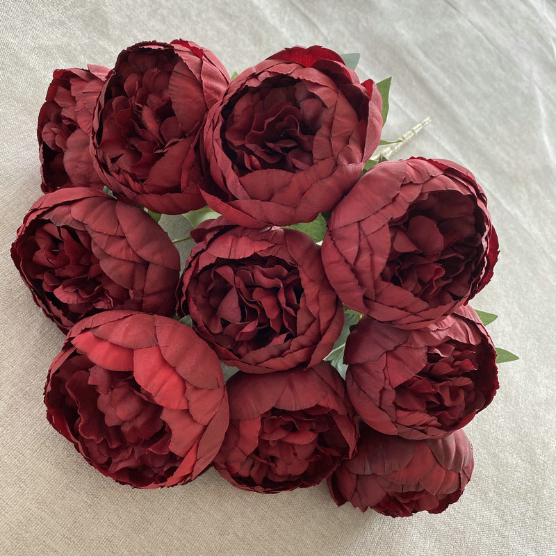 P0025 Ten round peonies