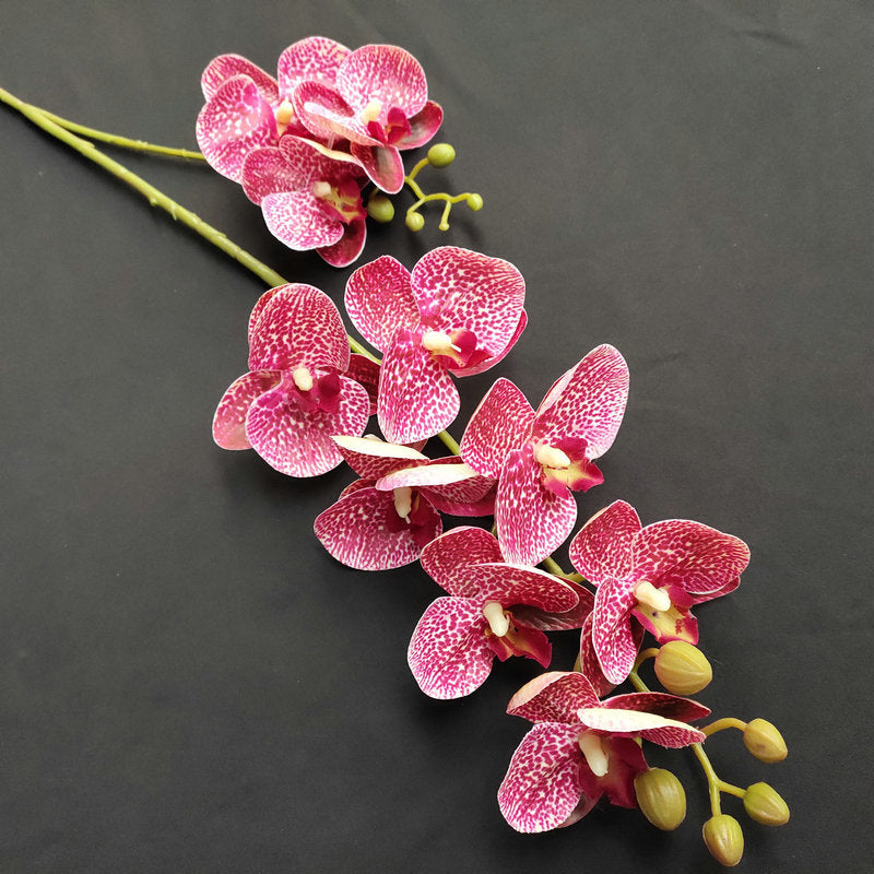 O0018 3D printed phalaenopsis with ten heads and two prongs