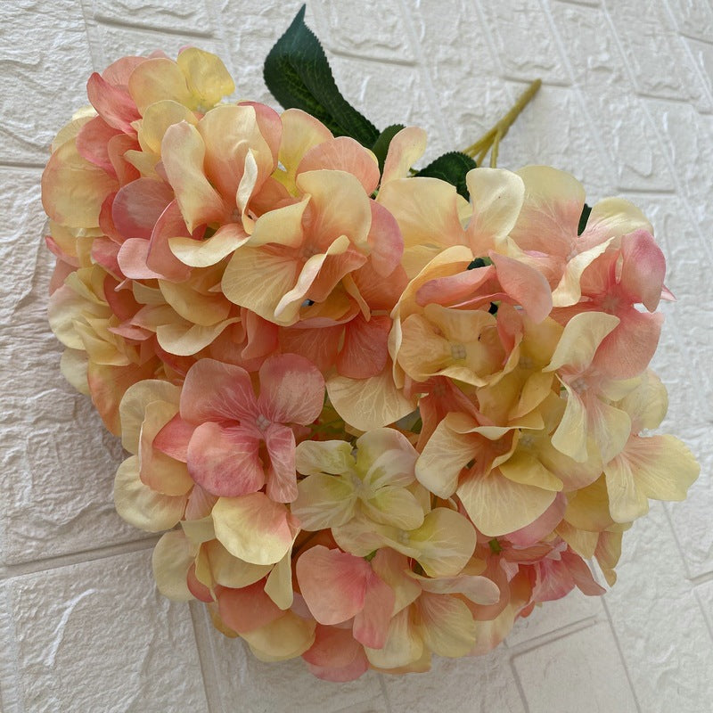 H0010 Hydrangea