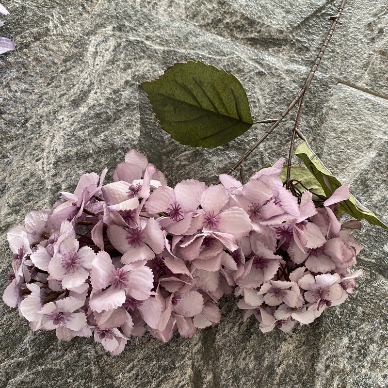 H0030 Hydrangea