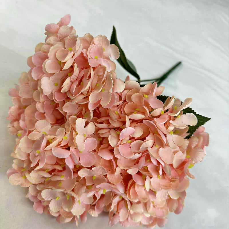 H0020 Hydrangea