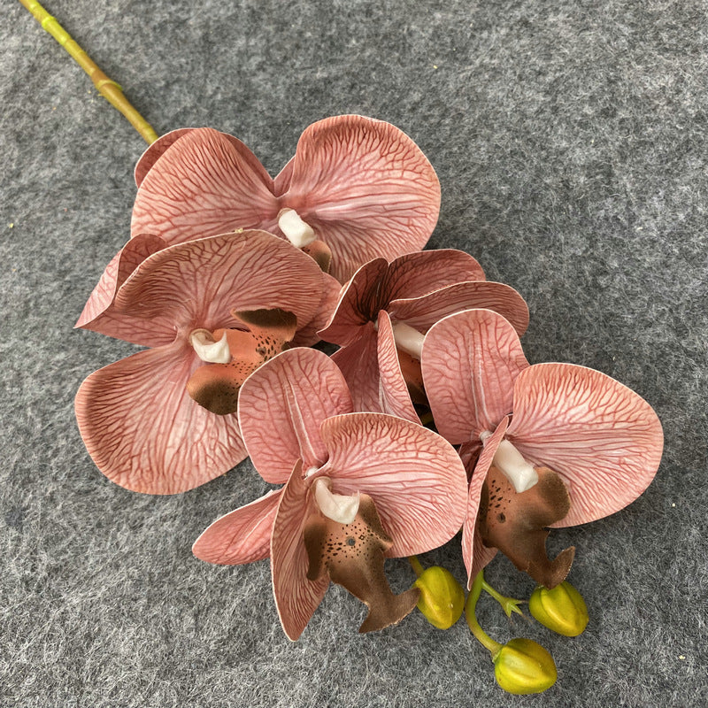 O0004 3D printed 5-head Phalaenopsis