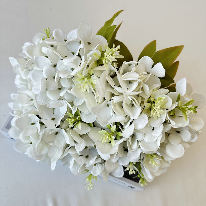 H0004 Hydrangea