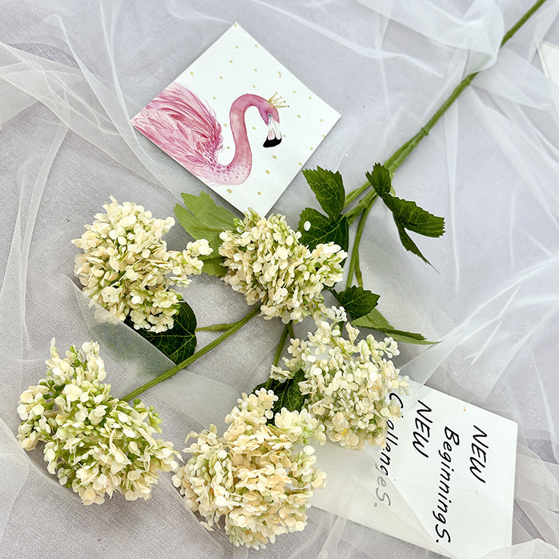 H0005 Hydrangea