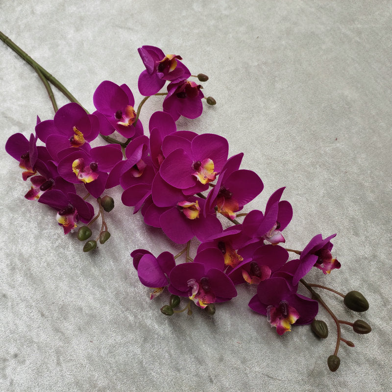 O0015 3D printed twenty-one phalaenopsis