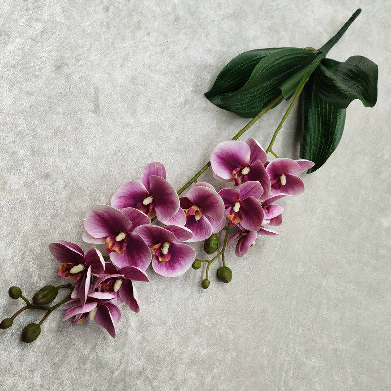 O0016 3D printed double-forked twelve-headed Phalaenopsis with leaves