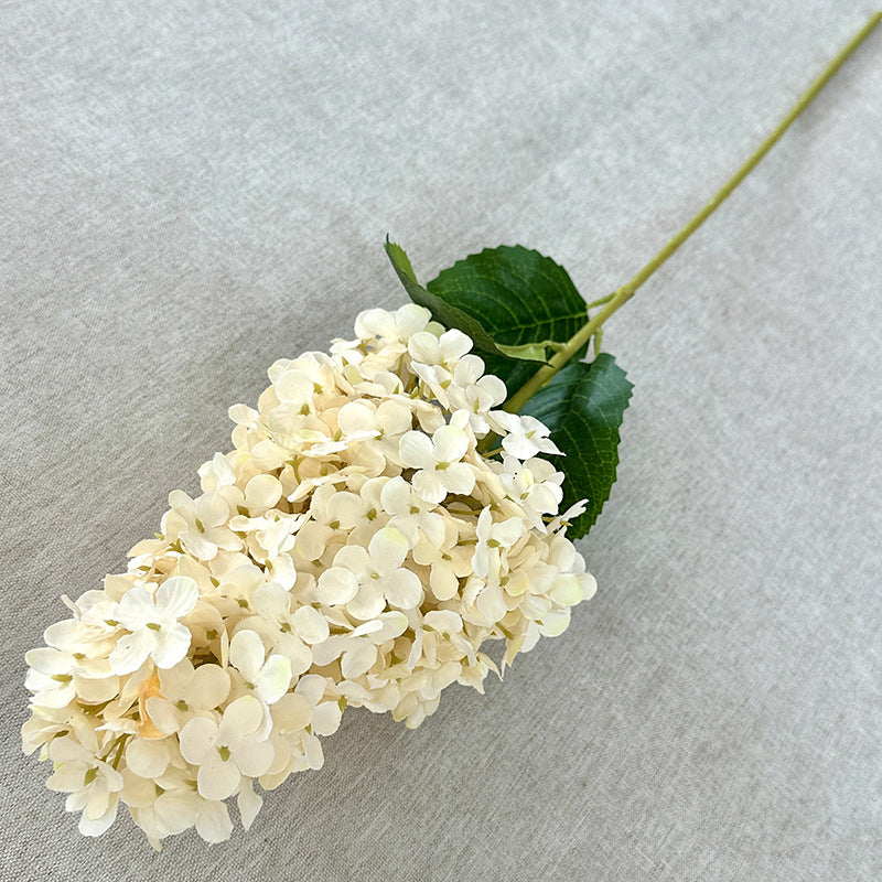 H0032 Hydrangea