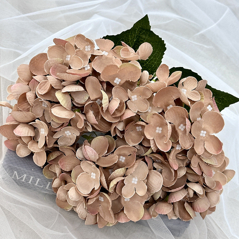 H0007 Hydrangea