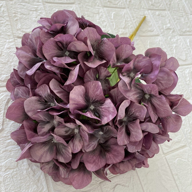 H0010 Hydrangea