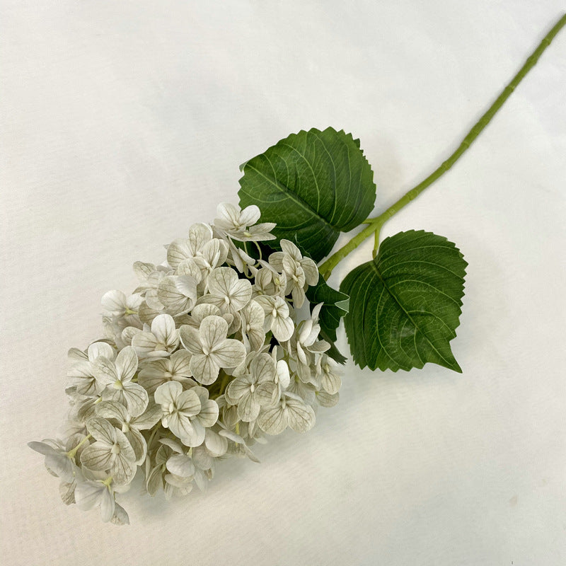 H0042 Hydrangea