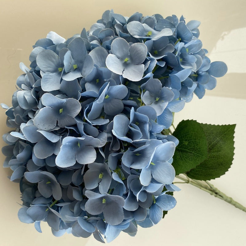 H0006 Hydrangea