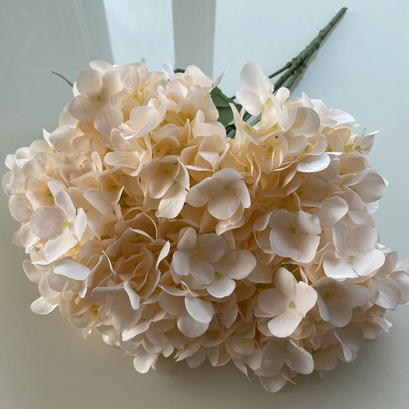 H0006 Hydrangea