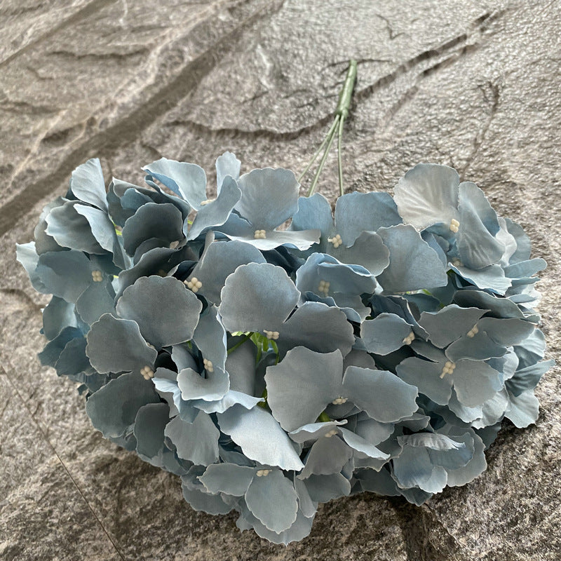 H0002 Hydrangea