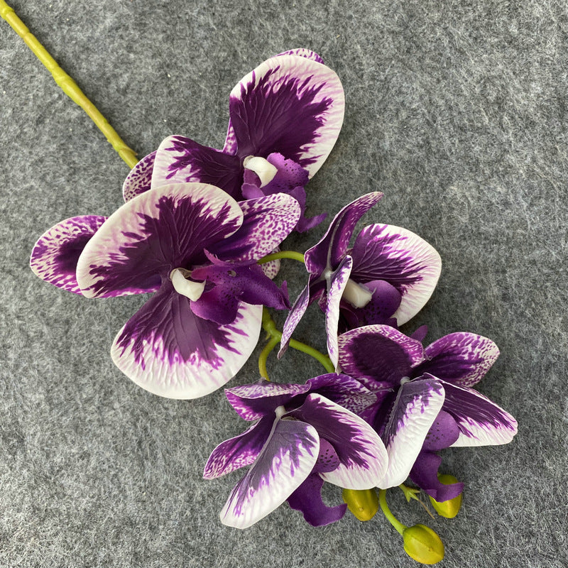 O0004 3D printed 5-head Phalaenopsis