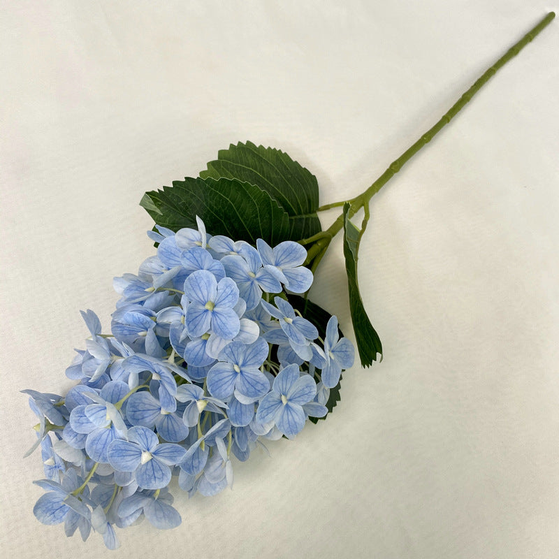 H0042 Hydrangea