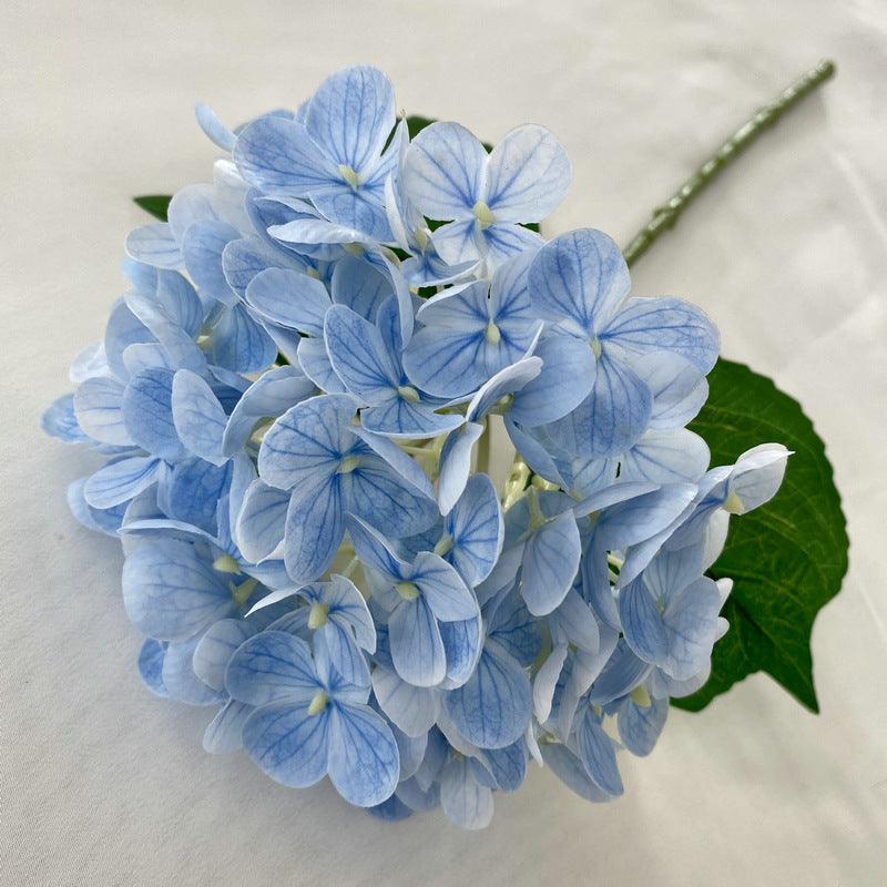 H0021 Hydrangea