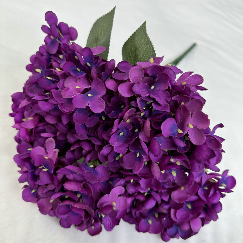 H0020 Hydrangea