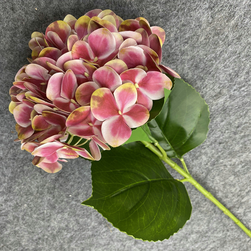 H0037 Hydrangea