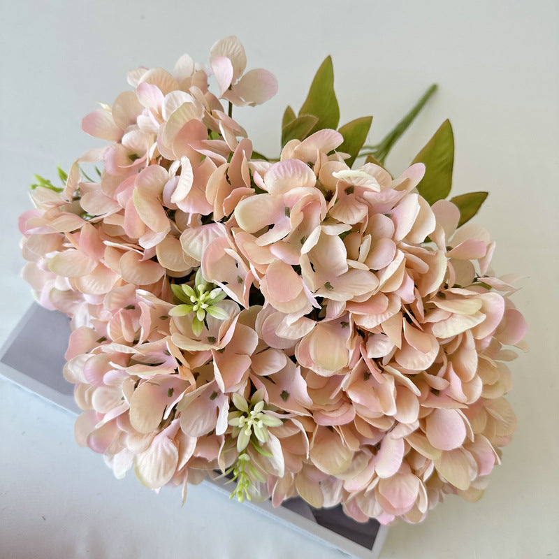 H0004 Hydrangea