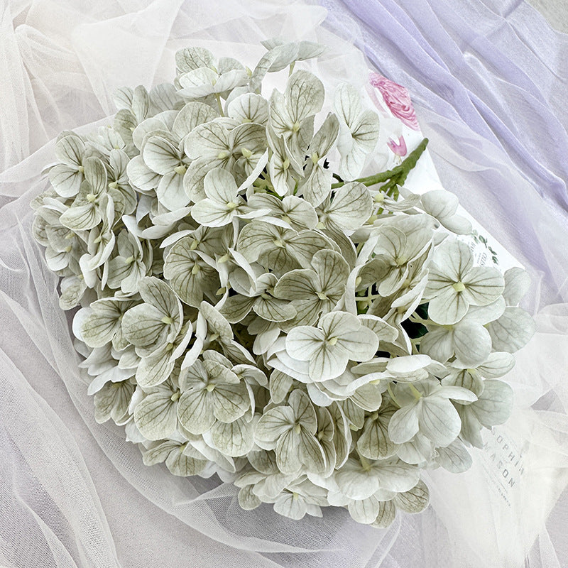 H0039 Hydrangea