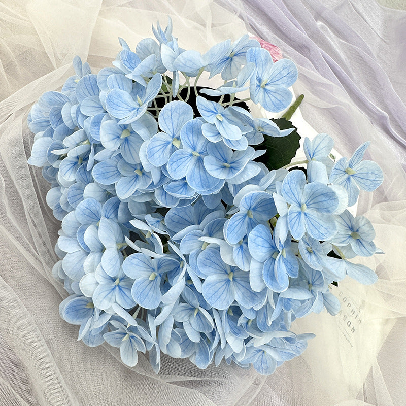 H0039 Hydrangea