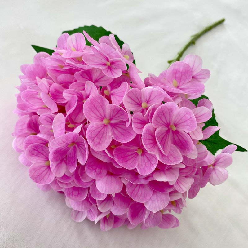 H0003 Hydrangea