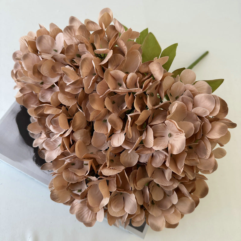 H0004 Hydrangea