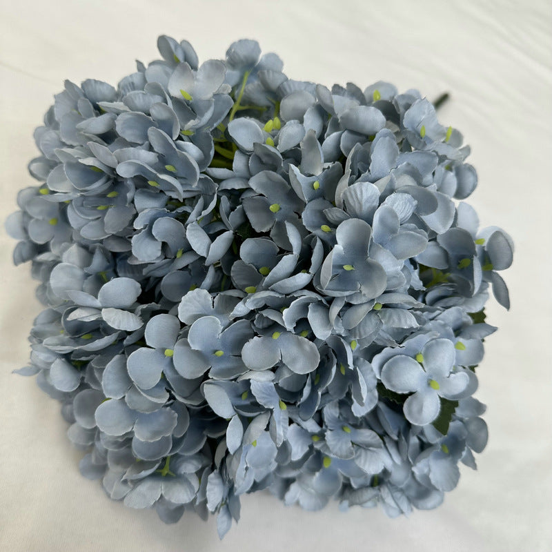 H0020 Hydrangea