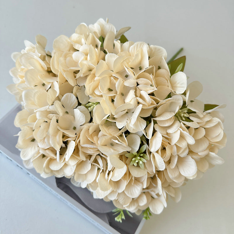 H0004 Hydrangea