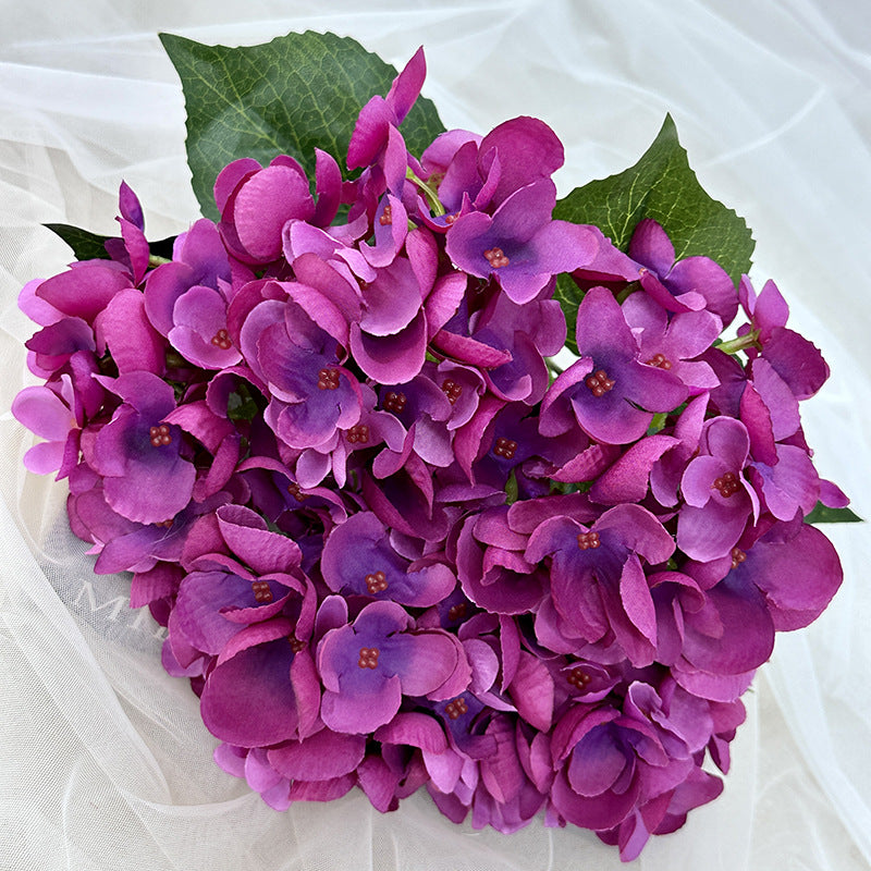 H0007 Hydrangea