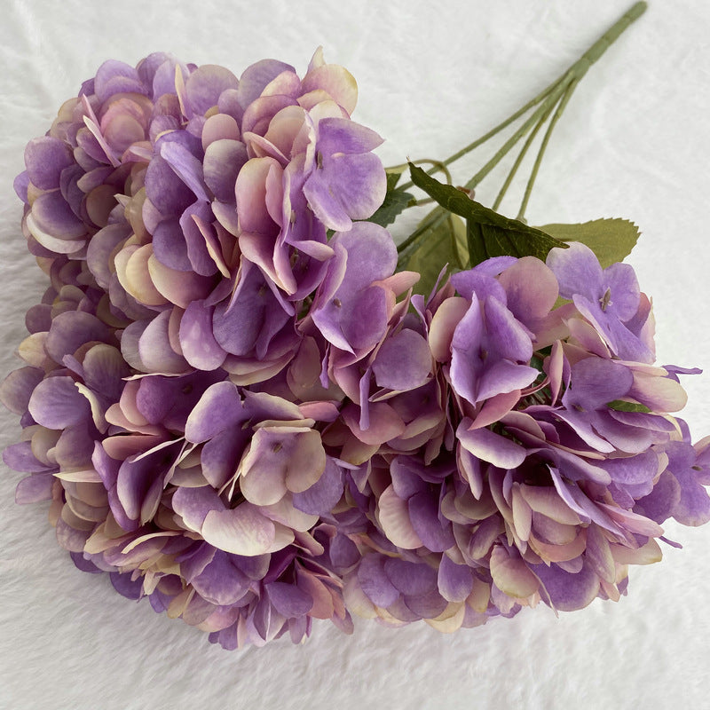 H0025 Hydrangea