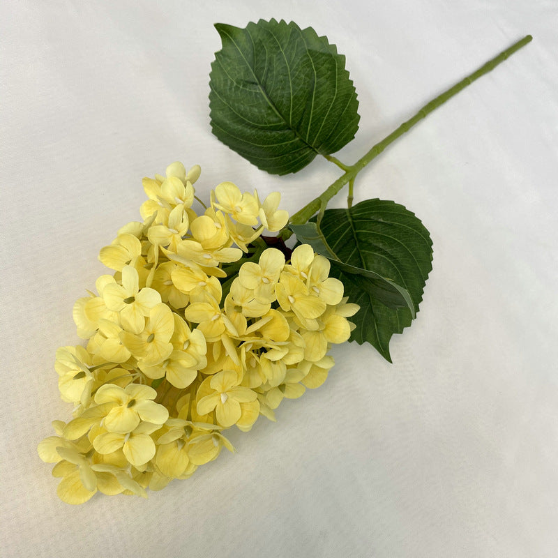 H0042 Hydrangea