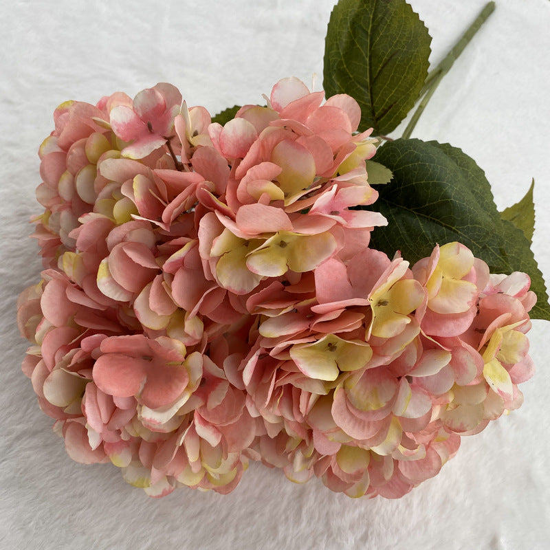 H0025 Hydrangea