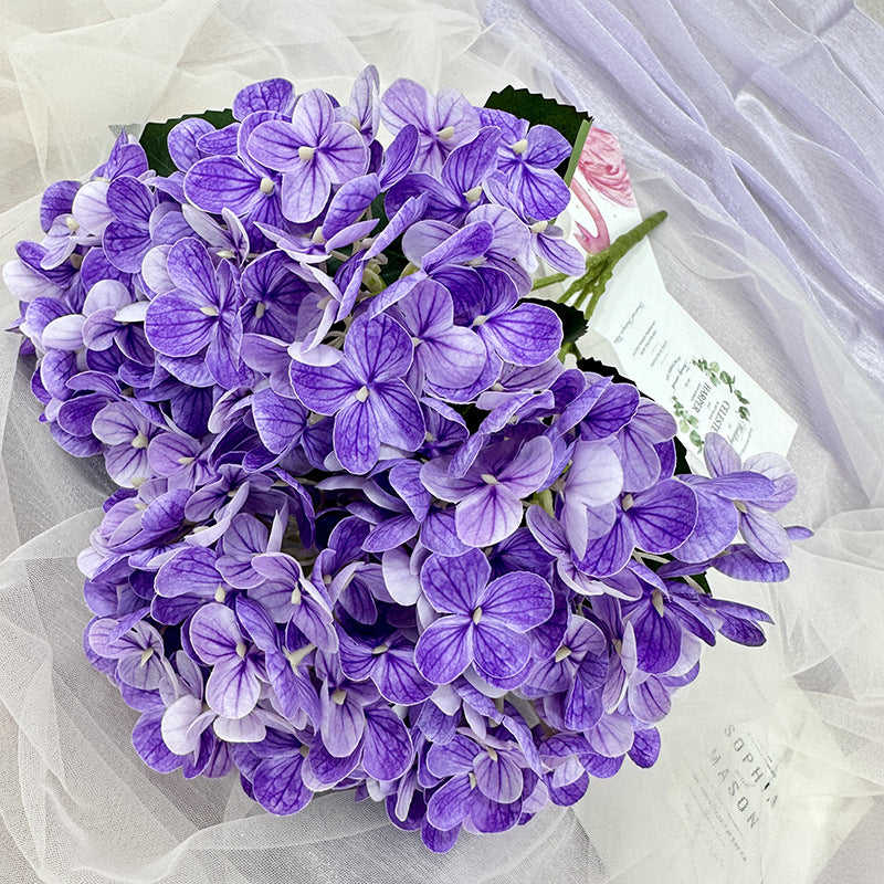 H0039 Hydrangea