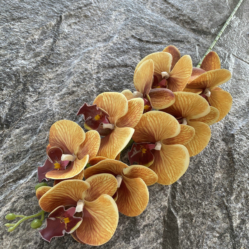 O0005 Nine-headed 3D Phalaenopsis