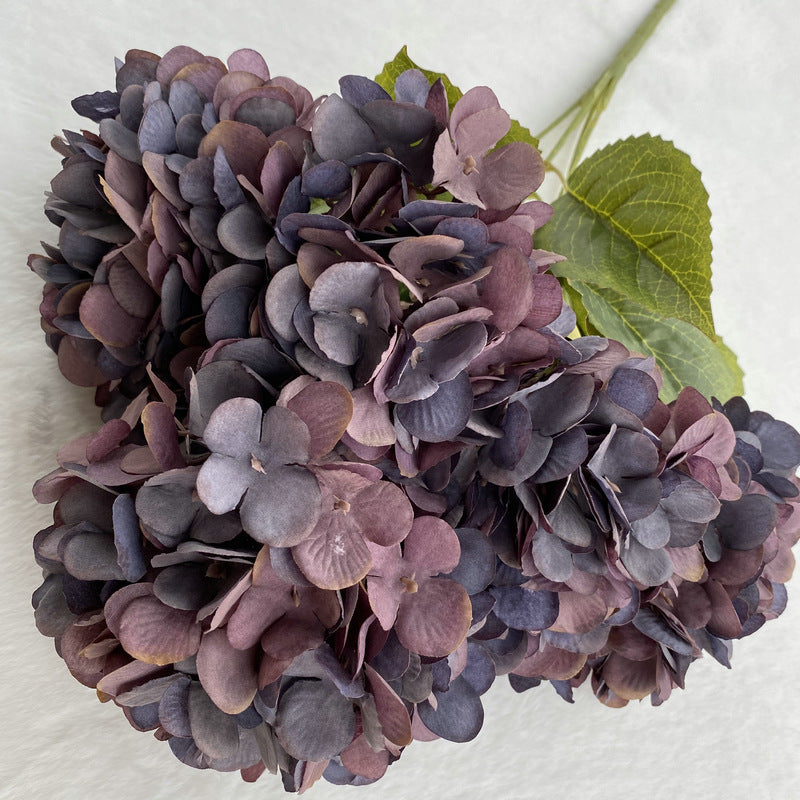 H0025 Hydrangea