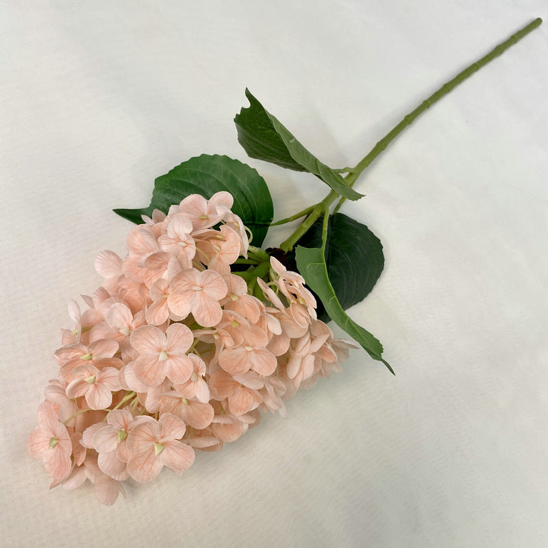 H0042 Hydrangea