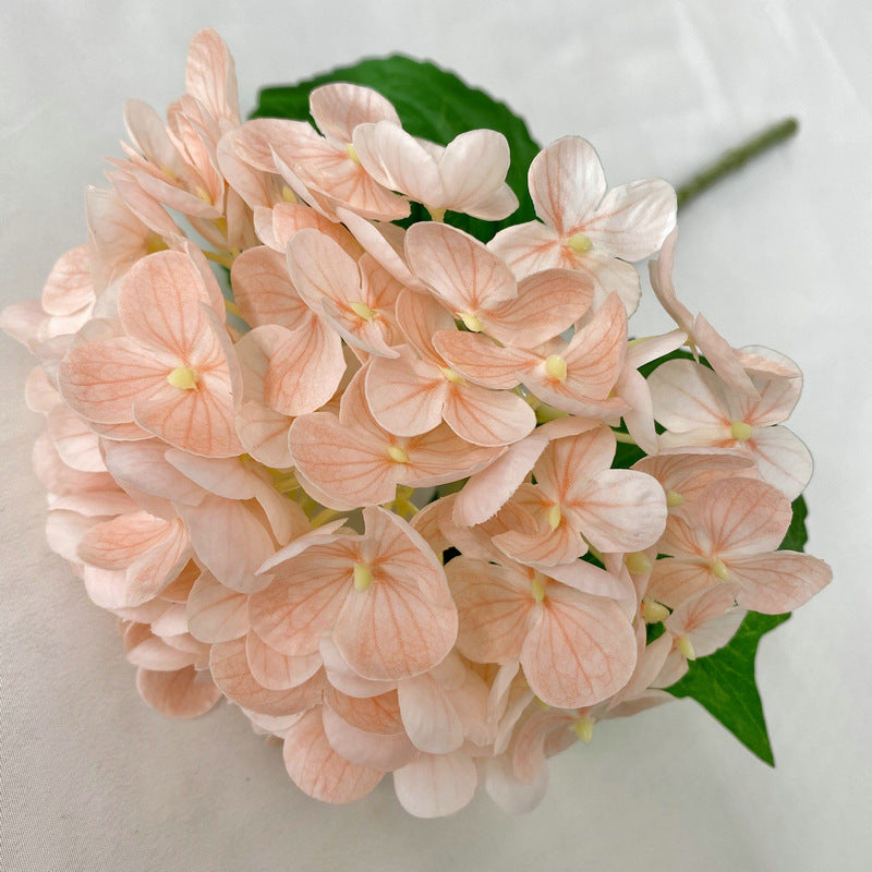 H0021 Hydrangea