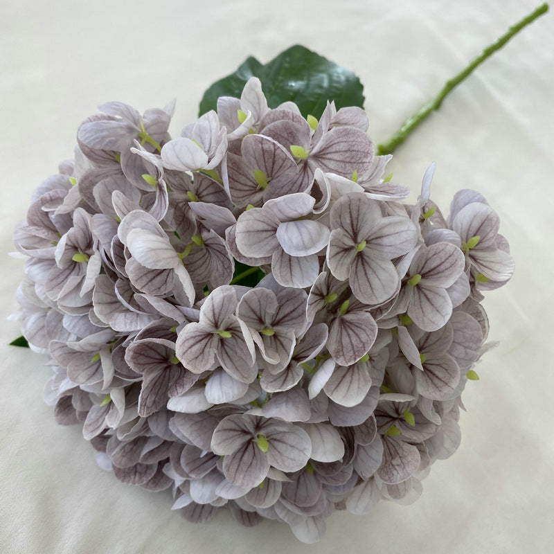 H0003 Hydrangea