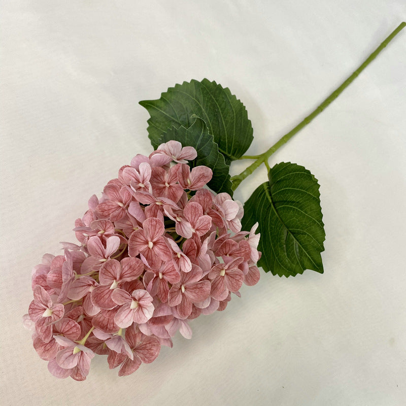 H0042 Hydrangea