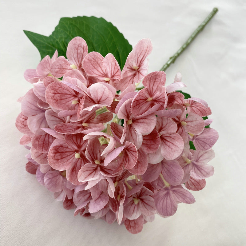 H0021 Hydrangea