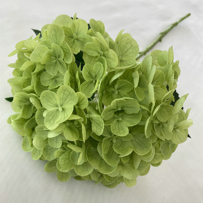 H0003 Hydrangea