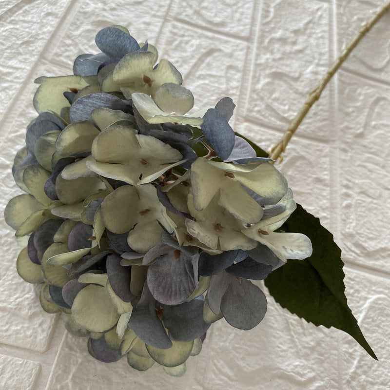 H0038 Hydrangea