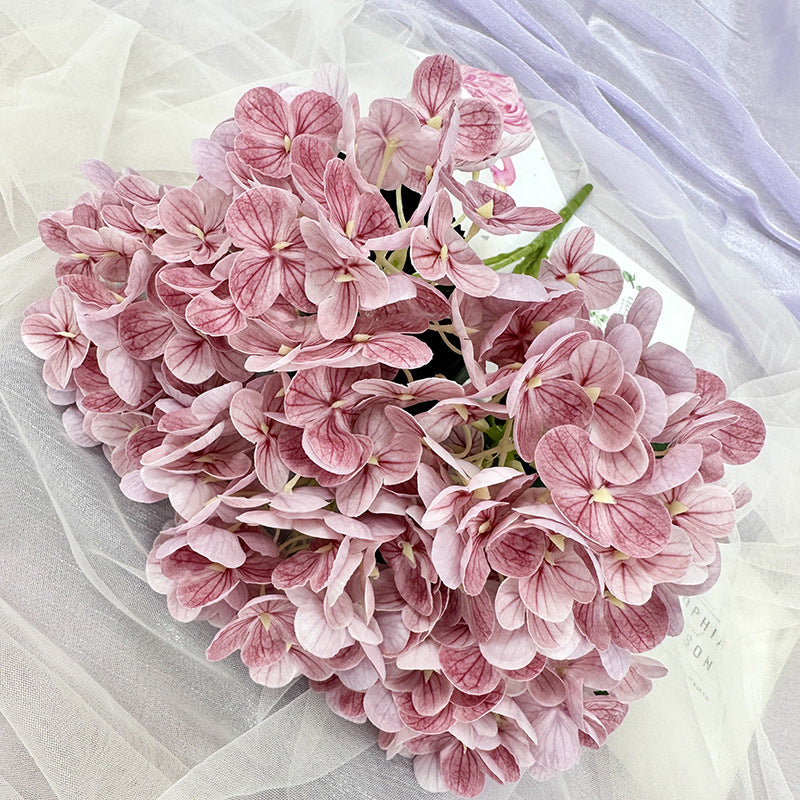 H0039 Hydrangea