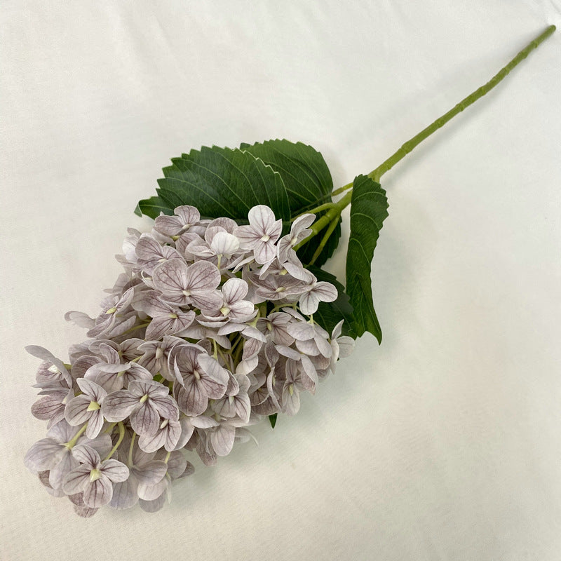 H0042 Hydrangea