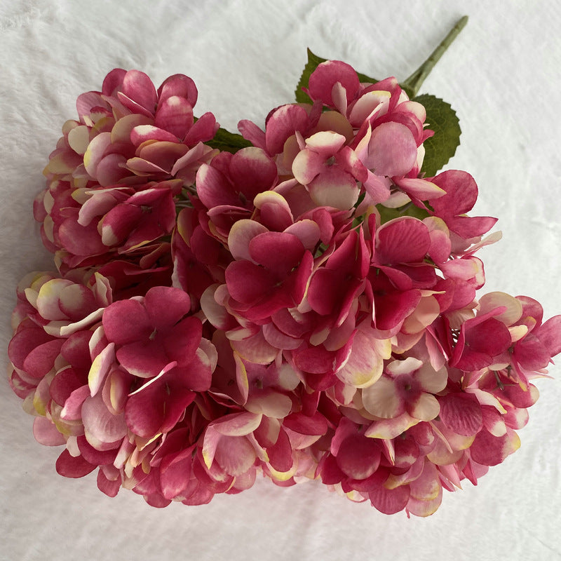 H0025 Hydrangea